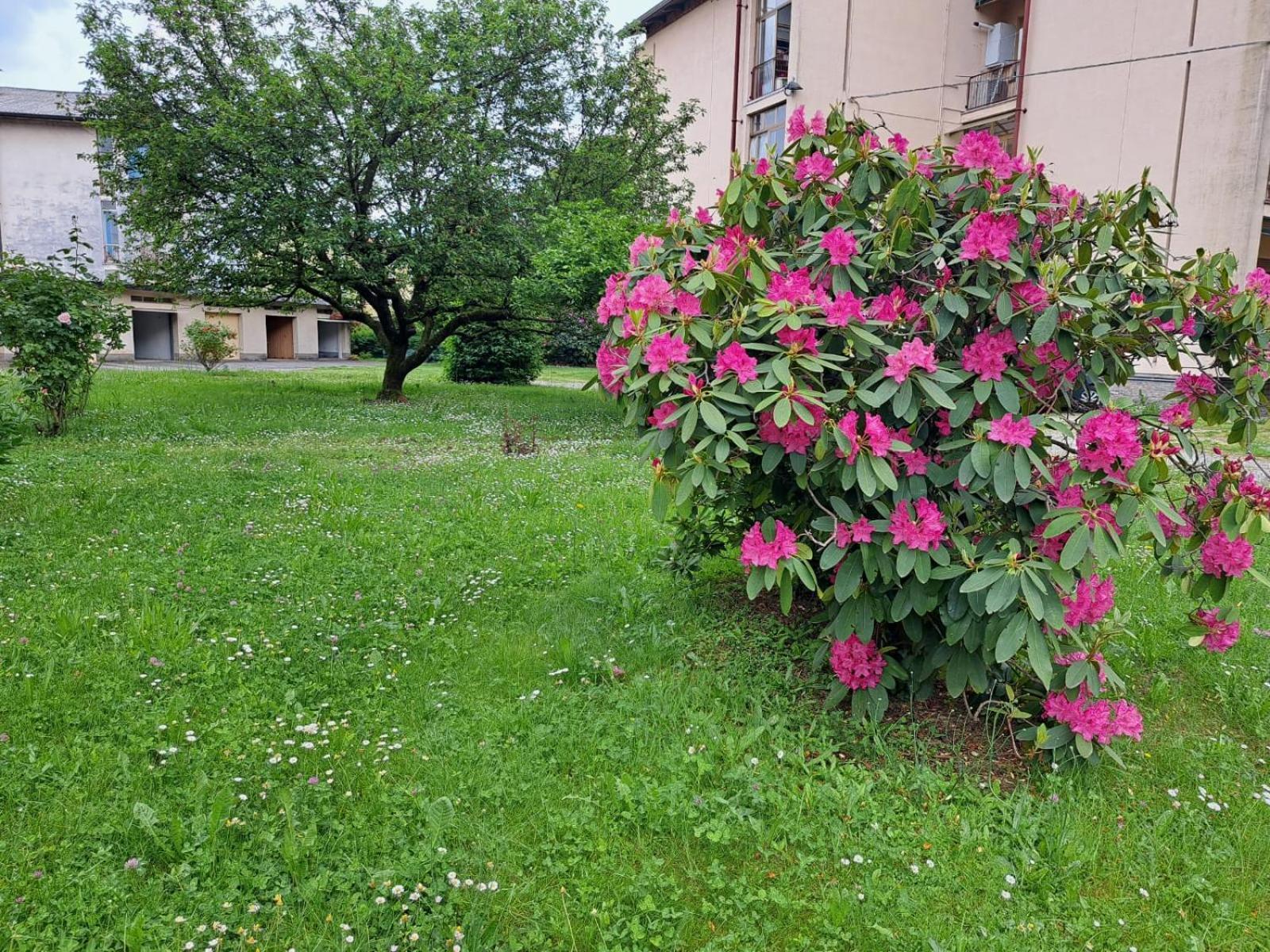 Seraval Valsesia Apartment Serravalle Sesia ภายนอก รูปภาพ